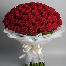Букет 101 Красная роза Блэк Мэджик в Дергачах