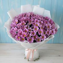 Букет цветов из:  Хризантемы в Дергачах