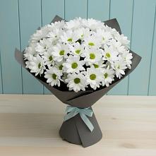 Букет цветов из:  Хризантемы #REPLACE_PRED# Дергачах