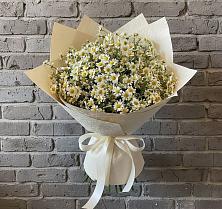 Букет цветов из:  Ромашки в Дергачах