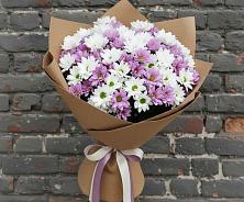 Букет цветов из:  Хризантемы в Дергачах