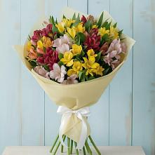 Букет цветов из:  Альстромерии в Дергачах