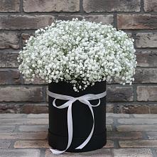 Цветочная композиция из Гипсофила в шляпной коробке в Дергачах