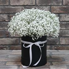 Цветочная композиция из Гипсофила в шляпной коробке в Дергачах