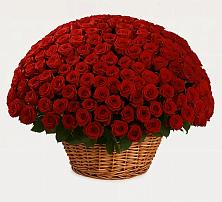 Премиум букет из: Розы в Дергачах